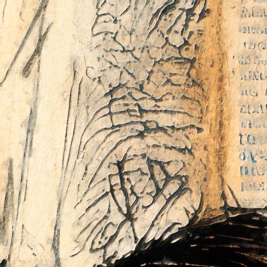 fragment copy7825